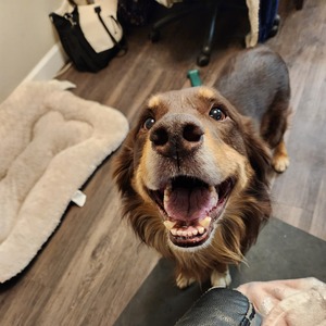 Fundraising Page: Amira Zohbe